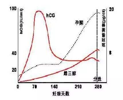 试管婴儿