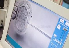 试管婴儿胚胎移植什么时候最佳？