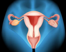 卵巢功能越来越低会有哪些表现？能做俄罗斯试管婴儿成功怀孕吗？