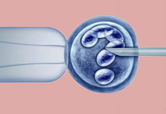 俄罗斯三代试管期间的优质卵子，是怎么调理出来的？