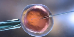 俄罗斯三代试管婴儿中，什么样的胚胎才是优质胚胎？