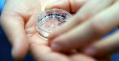 俄罗斯三代试管为什么基本移植冻胚？