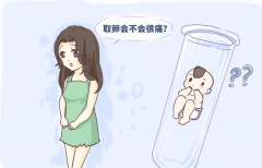 试管婴儿移植注意事项