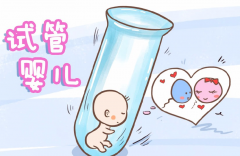 试管婴儿一胎两胎价钱一样吗