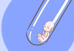 一年中什么季节做试管婴儿最好
